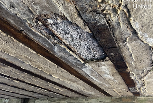 Town of Woodville (Calumet County)